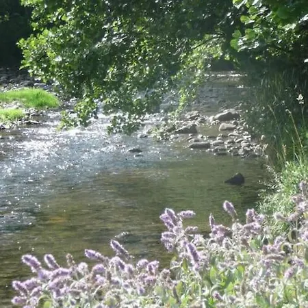 Maison Proximite Station De Le Lioran Prázdninový dům