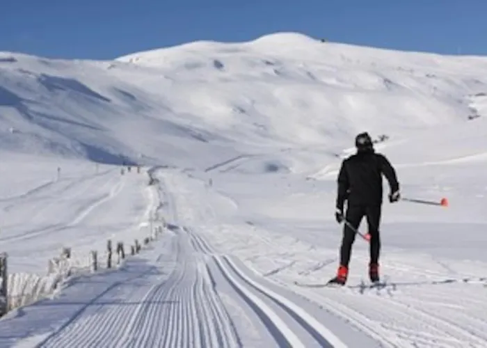Maison Proximite Station De Le Lioran Laveissiere