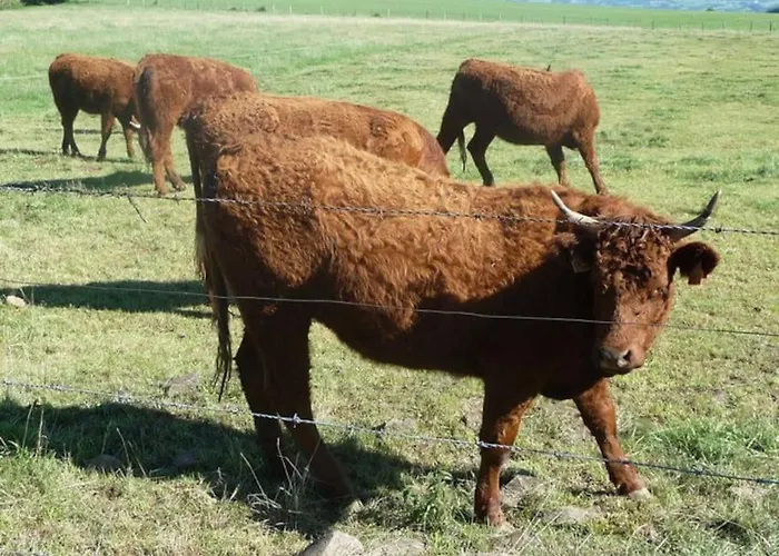 Holiday home Maison Proximite Station De Le Lioran Laveissiere