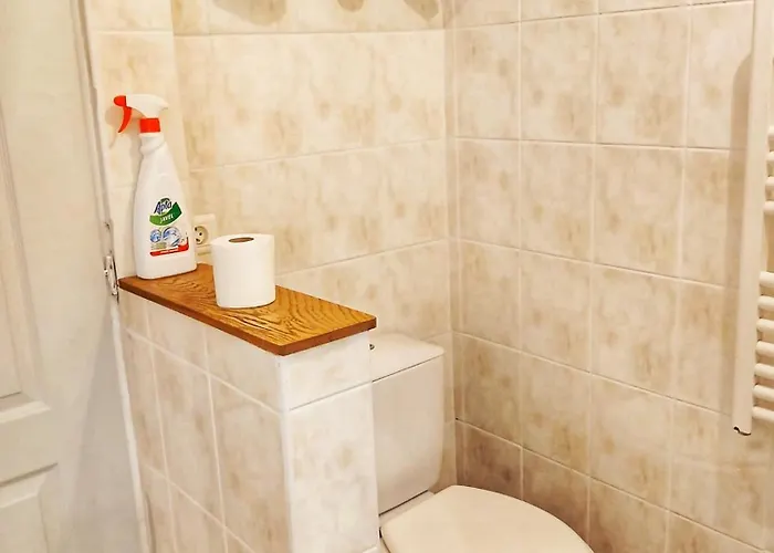 Maison Proximite Station De Le Lioran Holiday home Laveissiere